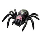 Aranha Grudenta Gruda Superfícies Lisas Vidro Parede Brinque