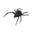 Aranha Robo Alive