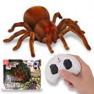 Aranha Robô Brinquedo Com Luz Controle Remoto Anda Aranha Robô Brinquedo Com Luz Controle Remoto Anda