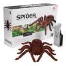 Aranha Robô Controle Remoto Anda E Mexe As Patas Pilha Aranha Robô Controle Remoto Anda E Mexe As Patas Pilha