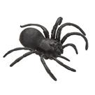 Aranha Viuvá Negra - Brasilflex
