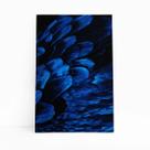 Arara Penas Azuis Asas Aves Animais Quadro Canvas 60x40cm