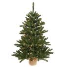 Árbol de Navidad Vickerman Pino Anoka 36 cm con 100 Luces LED Árbol de Navidad Vickerman Pino Anoka 36 cm con 100 Luces LED