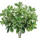 Arbustos Artificiais GTIDEA 40 cm com Toque Real e Folhas Verdes, 2 Peças Arbustos Artificiais GTIDEA 40 cm com Toque Real e Folhas Verdes, 2 Peças