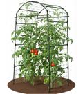 Arco Treliça para Jardim BAXAM 200 cm de Altura Suporte Metálico para Plantas Trepadeiras Arco Treliça para Jardim BAXAM 200 cm de Altura Suporte Metálico para Plantas Trepadeiras