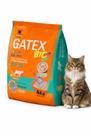 Areia Granulado Higiênico Natural Gatex Bio para Gatos 4kg