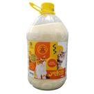 Areia Higiênica Biodegradável Yellow em Galão 4 kg