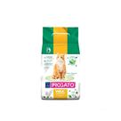 Areia Higiênica ProGato Vida Comfort 4kg Areia Higiênica ProGato Vida Comfort 4kg