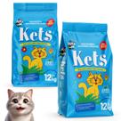 Areia Kets Gatos Sanitaria Higienica Tradicional 12kg Oferta