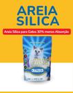 Areia Sílica Chalesco Micro Cristais 30 por cento Menos Absorção LOTE ESPECIAL
