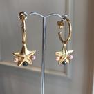 Argola pingente estrela