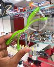 Armação acetato Anelim verde limão Armação acetato Anelim verde limão