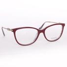 Armação de oculos
