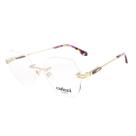 Armação De Óculos Colcci C6257e0855 Dourado Fosco cat1 -