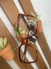Armação em acetato feminina quadrada caramelo em animal print