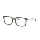 Armação Masculina Ray Ban RX7260-8463 56