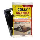 Armadilha Adesiva Captura Aranhas 1 Par Colly Controle de Aranha