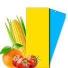 Armadilha Amarela e Azul Para Insetos Yellow e Blue Trap Garden Coleagro 10 Un Colly