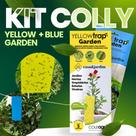 Armadilha Amarela e Azul Yellow Blue Trap Mini Garden Controle e Monitoramento de Insetos