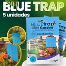 Armadilha Azul Adesiva Captura Insetos Blue Trap Mini Garden 05 Coleagro