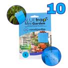 Armadilha Azul Blue Trap Mini Garden 10un Captura Tripes, MoscasBranca e Pragas 12,5x10cm