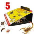 Armadilha Pega Escorpião 5un Scorpion Trap Colly Armadilha Controle de Pragas