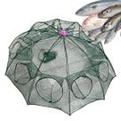 Armadilha Peixe Covo 10 Furos Rede Pesca Isca Pescaria Robalo Lambari Siri Corvina Camarao Ciriguejo Mar