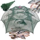 Armadilha Peixe Covo 12 Furos Rede Pesca Isca Pescaria Lagosta Camarao Robalo Lambari Siri Tainha Piaba Siri