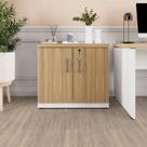 Armário Baixo para Escritório 80cm X 45cm com 2 Portas e Chave Corporate F5 Armário Baixo para Escritório 80cm X 45cm com 2 Portas e Chave Corporate F5
