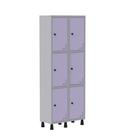 Armário Guarda Volume Locker Roupeiro de Aço 2 Vãos 6 Portas GR302/6 Light Cinza e Lilás Armário Guarda Volume Locker Roupeiro de Aço 2 Vãos 6 Portas GR302/6 Light Cinza e Lilás