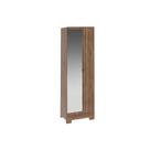 Armário Multiuso Juvenil 547 c/ 1 Porta c/ Espelho e Pés Freijo - Carraro