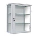 Armário vitrine de parede 1 porta veterinário