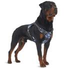 Arnês de treinamento para cães AUROTH Tactical No Pull Reflective Blue Camo