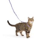 Arnês e coleira Bungee Cat PetSafe, venha comigo, Kitty
