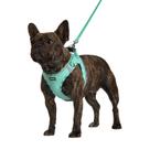 Arnês para cães AMTOR No Pull, reflexivo ajustável, verde