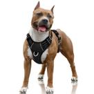 Arnês para cães BARKBAY No Pull Reflective com clipe frontal preto L