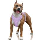 Arnês para cães BARKBAY No Pull Reflective com clipe frontal roxo L Arnês para cães BARKBAY No Pull Reflective com clipe frontal roxo L