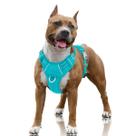 Arnês para cães BARKBAY No Pull Reflective Large Ocean Blue Arnês para cães BARKBAY No Pull Reflective Large Ocean Blue