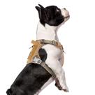 Arnês para cães BUMBIN Tactical No Pull para cães pequenos Brown S