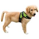 Arnês para cães Copatchy No Pull Refletivo Ajustável Verde XS