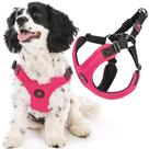 Arnês para cães Gooby Escape Free Sport Pink para cães pequenos Arnês para cães Gooby Escape Free Sport Pink para cães pequenos