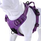 Arnês para cães JUXZH Truelove Soft Front Refletivo Roxo L Arnês para cães JUXZH Truelove Soft Front Refletivo Roxo L