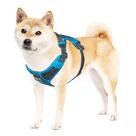Arnês para cães Outward Hound Boulder Adventure Turquoise M