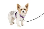 Arnês para cães PetSafe 3 em 1 sem puxar para cães pequenos XS Plum
