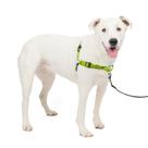 Arnês para cães PetSafe Deluxe Easy Walk No Pull Apple M/L