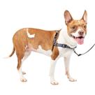 Arnês para cães PetSafe Easy Walk Deluxe No Pull Medium Steel