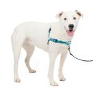 Arnês para cães PetSafe Easy Walk Deluxe No Pull Ocean M/L