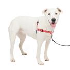 Arnês para cães PetSafe Easy Walk Deluxe No Pull Rose M/L