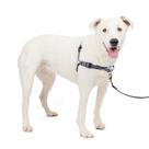 Arnês para cães PetSafe Easy Walk Deluxe No Pull Steel M/L