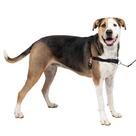 Arnês para cães PetSafe Easy Walk No-Pull GG preto/prata